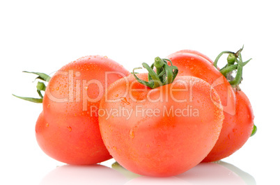 Red ripe tomato