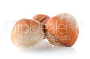 Three hazelnuts