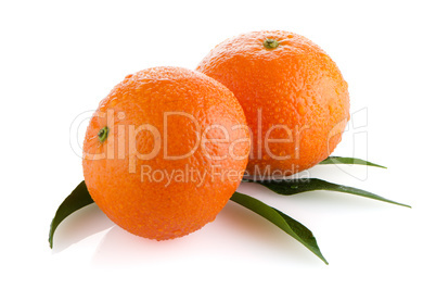 Fresh orange mandarins