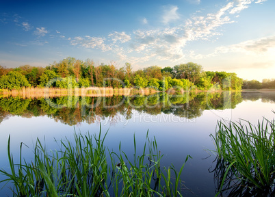 Reflection of forest in river