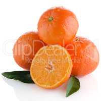 Tangerines