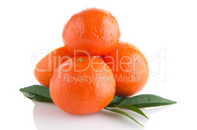 Ripe tangerines or mandarin