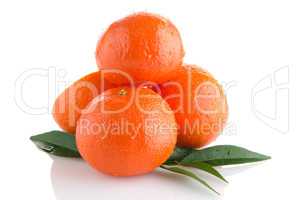 Ripe tangerines or mandarin