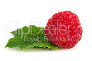 Ripe red raspberry