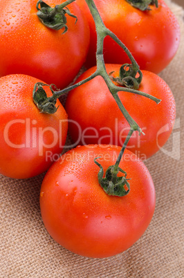 Cherry tomatoes vine