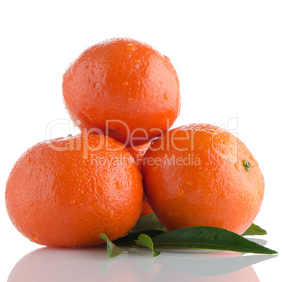 Ripe tangerines or mandarin