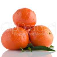 Ripe tangerines or mandarin