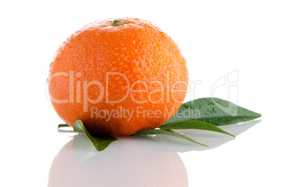 Fresh orange mandarin