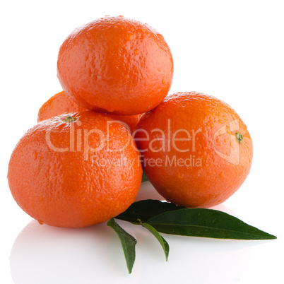 Ripe tangerines or mandarin