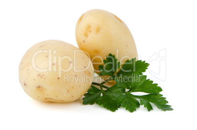 New potatoes and green parsley