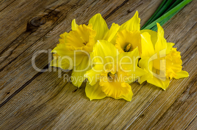 Jonquil flowers