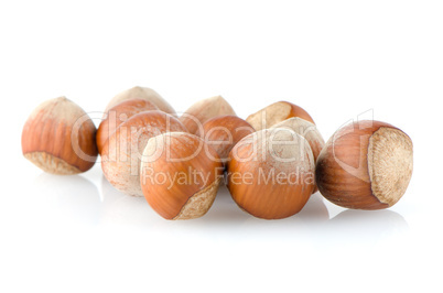 Fresh hazelnuts