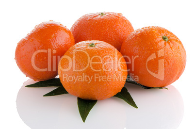 Tangerines