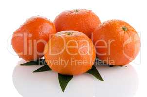 Tangerines