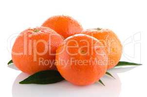 Ripe tangerines or mandarin