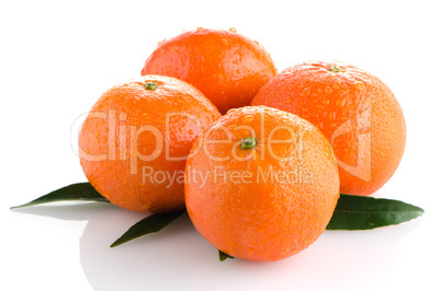 Ripe tangerines or mandarin