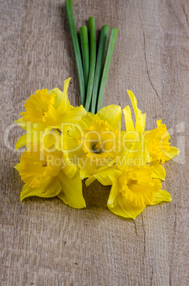 Jonquil flowers