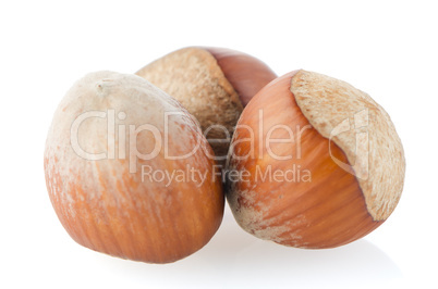 Three hazelnuts