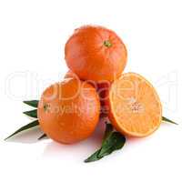 Tangerines