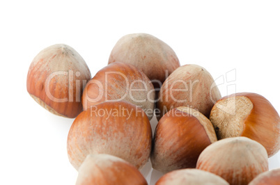 Fresh hazelnuts