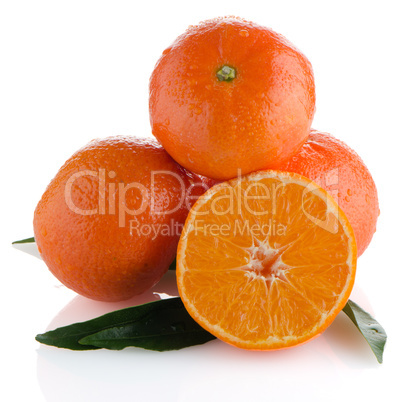 Tangerines