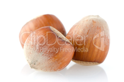 Three hazelnuts