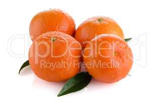 Ripe tangerines or mandarin