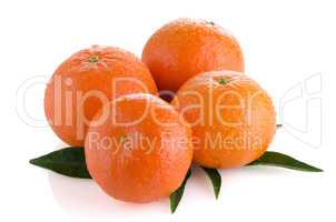 Ripe tangerines or mandarin