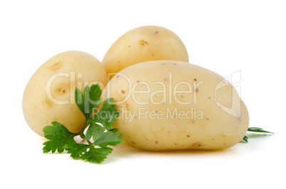 New potatoes and green parsley