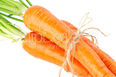 Fresh carrots