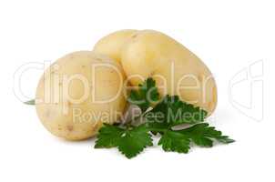 New potatoes and green parsley