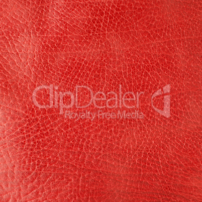 Red leather