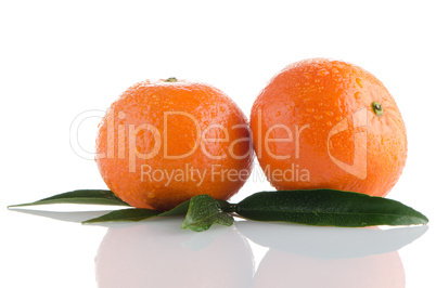 Ripe tangerines or mandarin