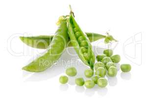 Fresh green pea pod