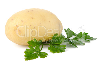 New potato and green parsley