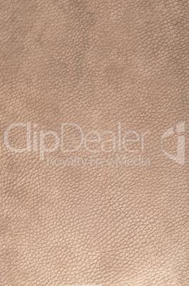 Brown leather texture