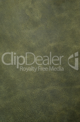 Green leather texture closeup