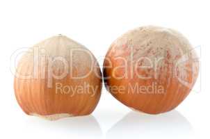 Two hazelnuts