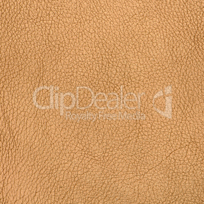 Golden color leather