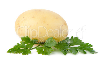 New potato and green parsley