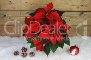 Typical Christmas and holidays Symbols