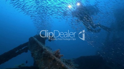 Exciting night diving with tropical fish in the Indian ocean near the Maldives