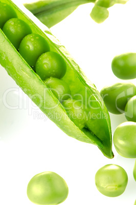 Fresh green pea pod