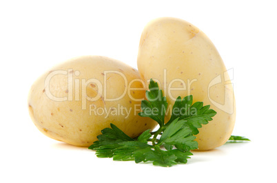 New potatoes and green parsley