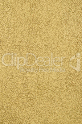 Golden color leather