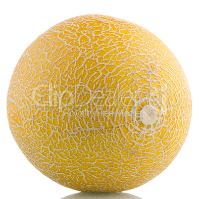 Yellow melon