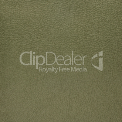 Green leather texture closeup