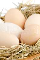 Eggs closeup