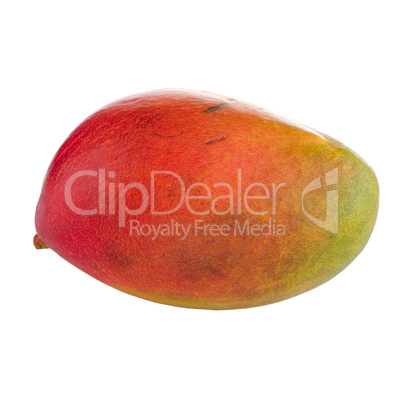 Mango fruit