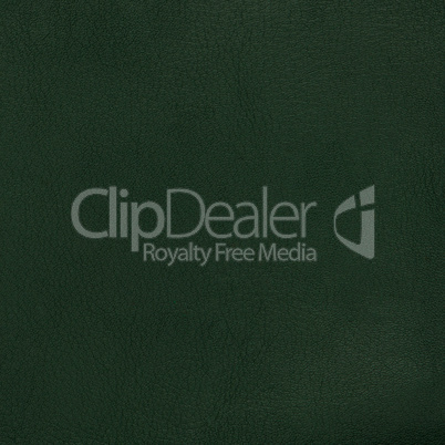 Green leather texture closeup